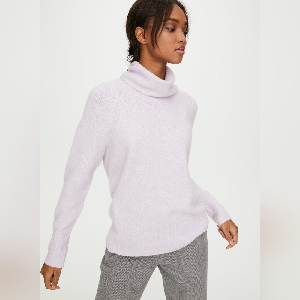 Aritzia Plutarch Turtleneck Sweater
